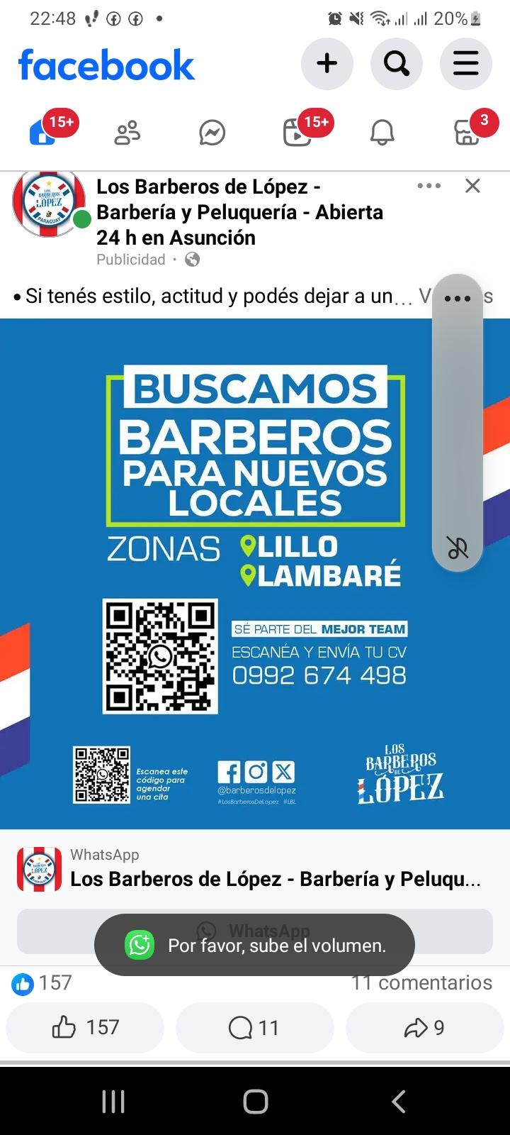 Trabajo de Tapiceria zafnat panea